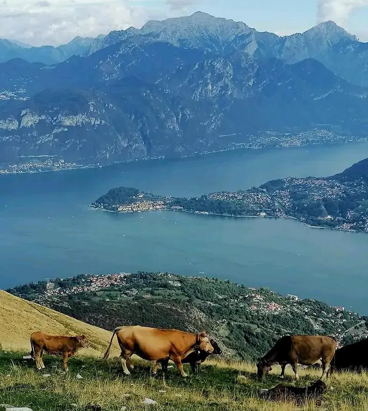Daire Casa Intignano - Camera Con Bagno E Portico Vista Lago Tremezzo
