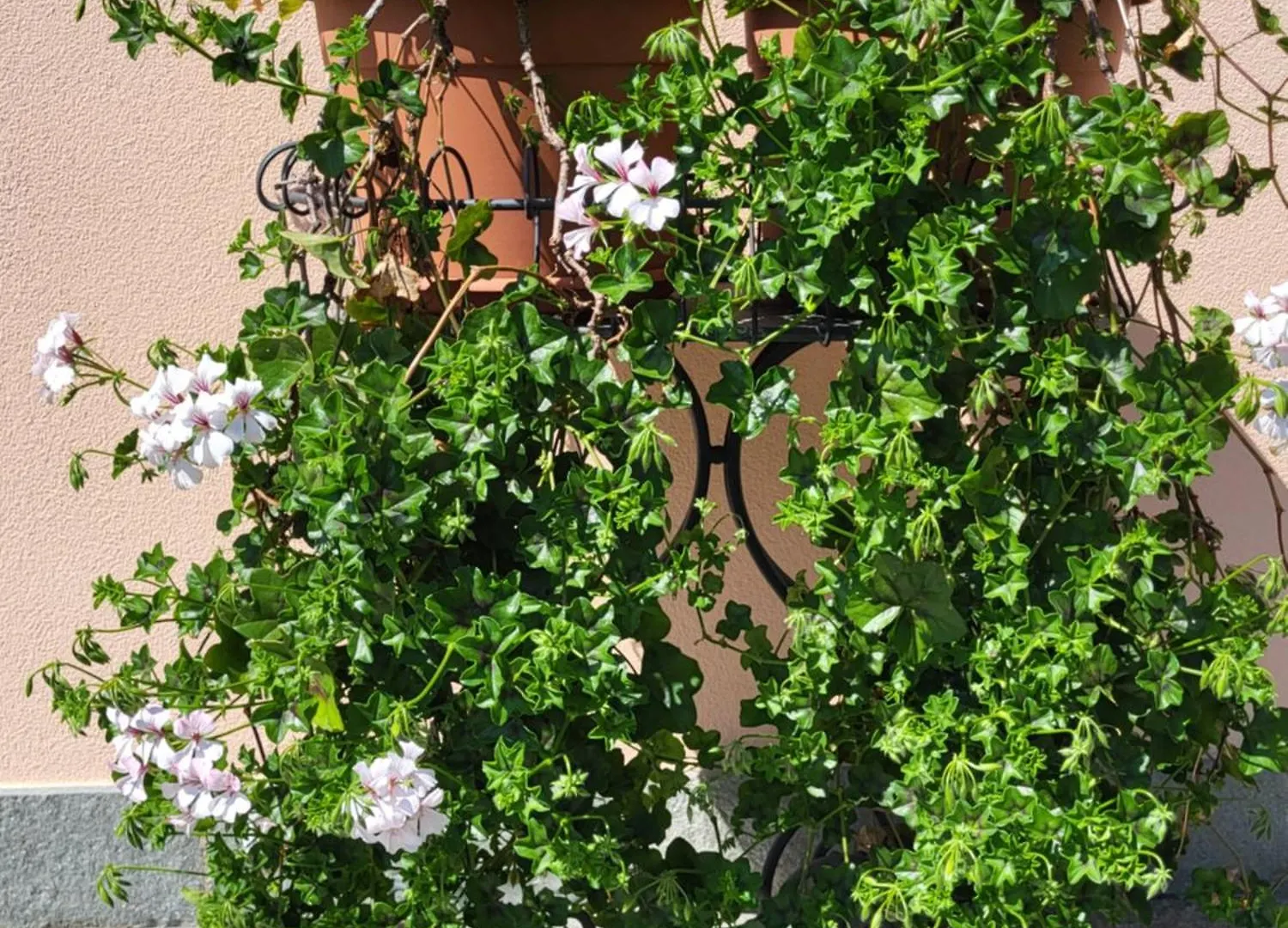Casa Intignano - Camera Con Bagno E Portico Vista Lago Tremezzo